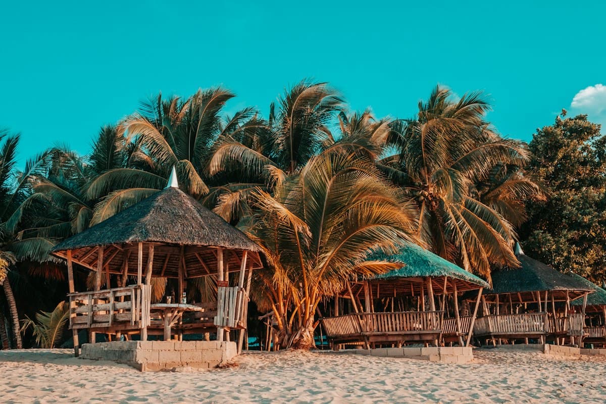 Sample photo: bamboo cottages under coconut trees